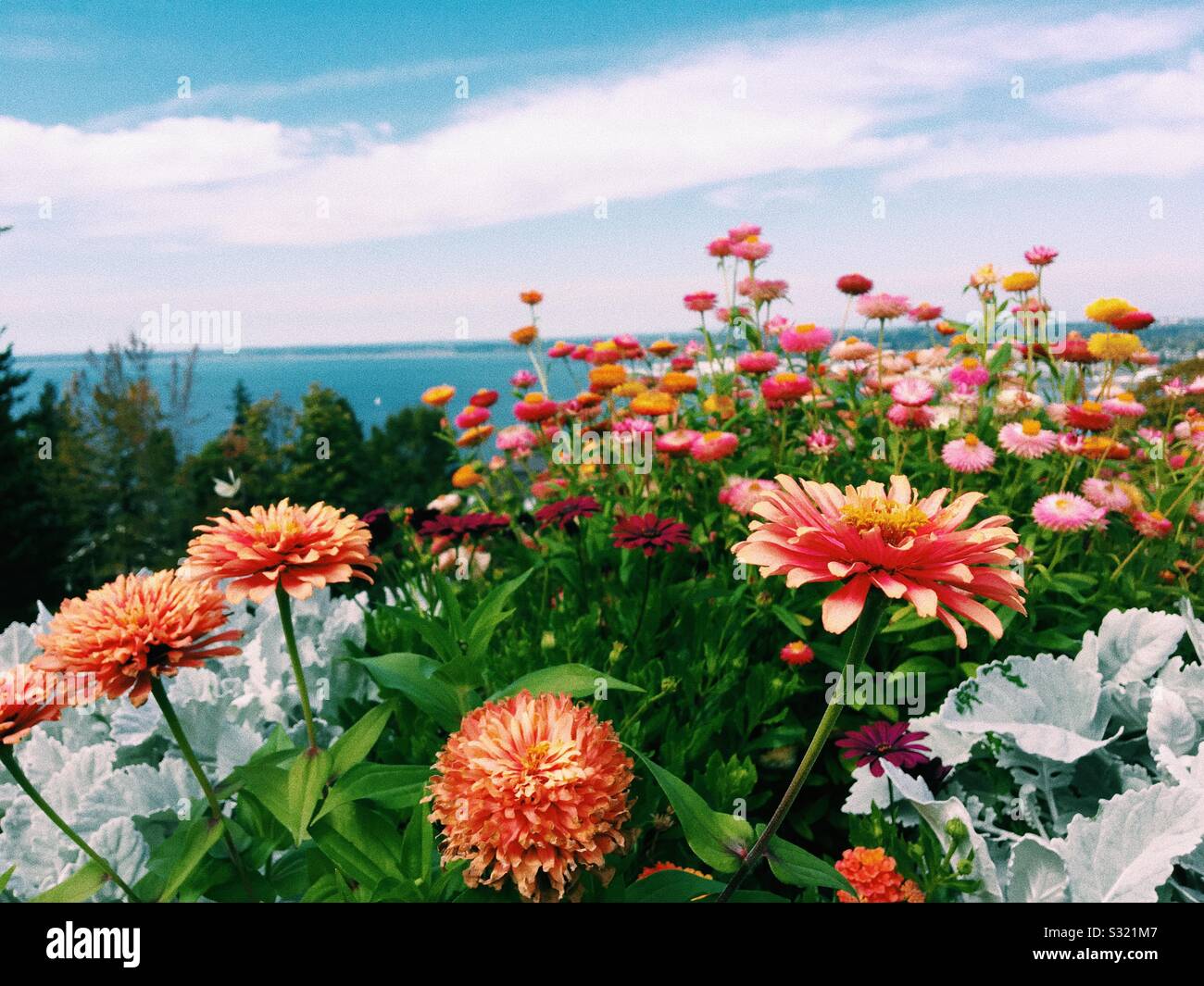 Bellingham wa hires stock photography and images Alamy