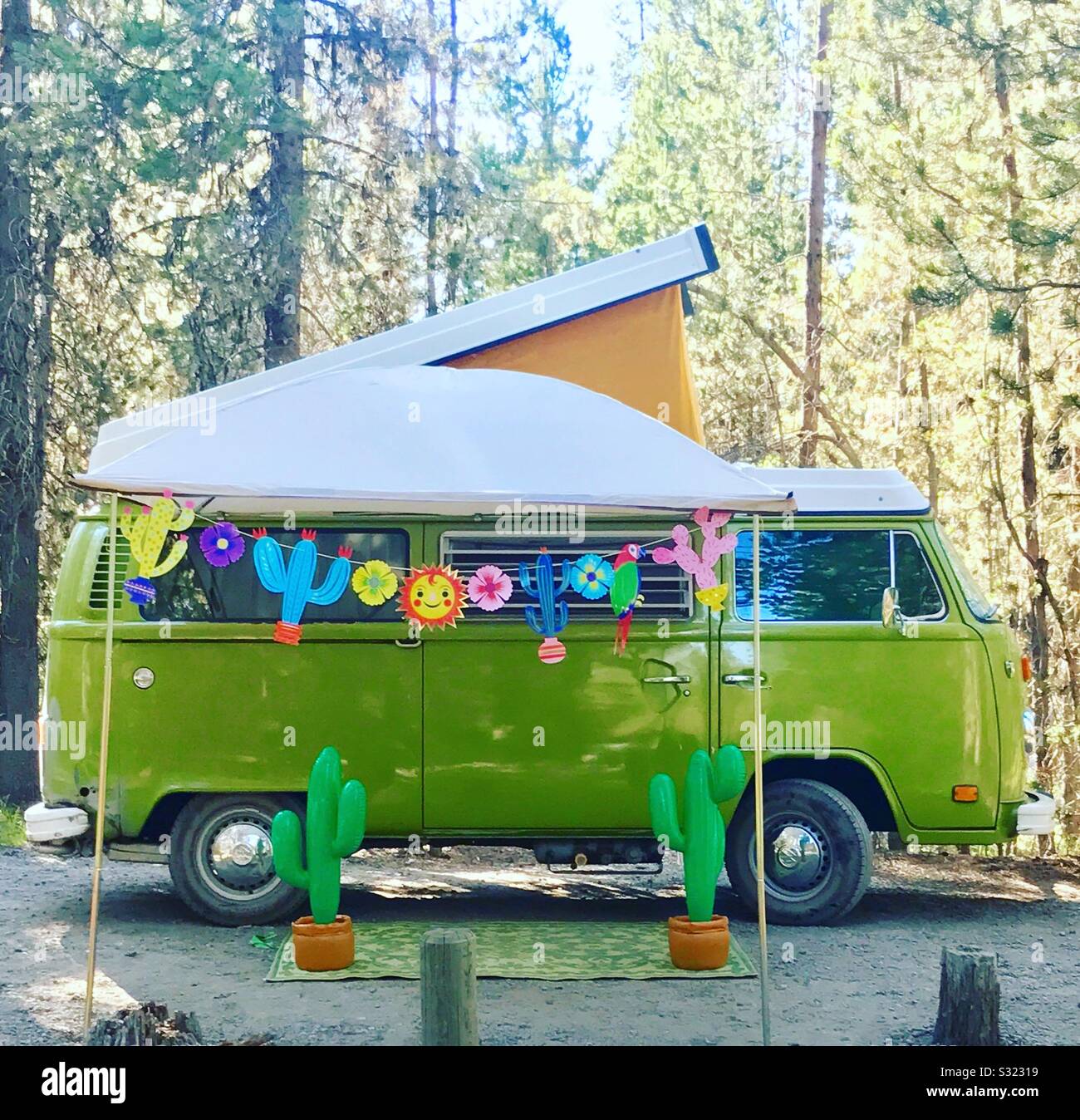 Leerling meten Fruitig VW bus camper van pop up cactus party at campground Stock Photo - Alamy