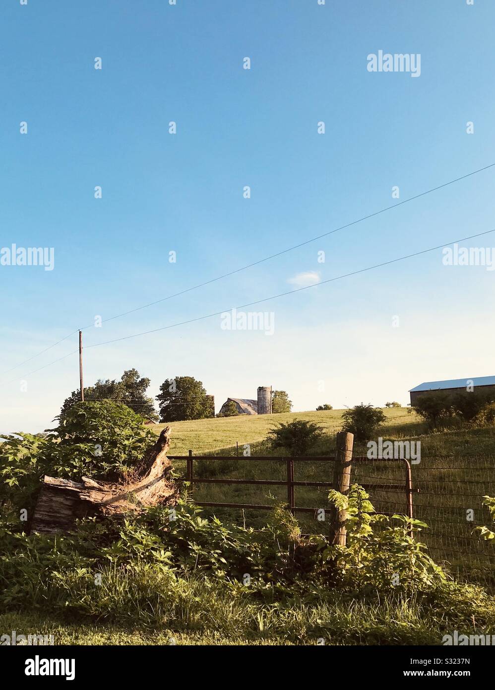 Field in kentucky Stock Photo Alamy