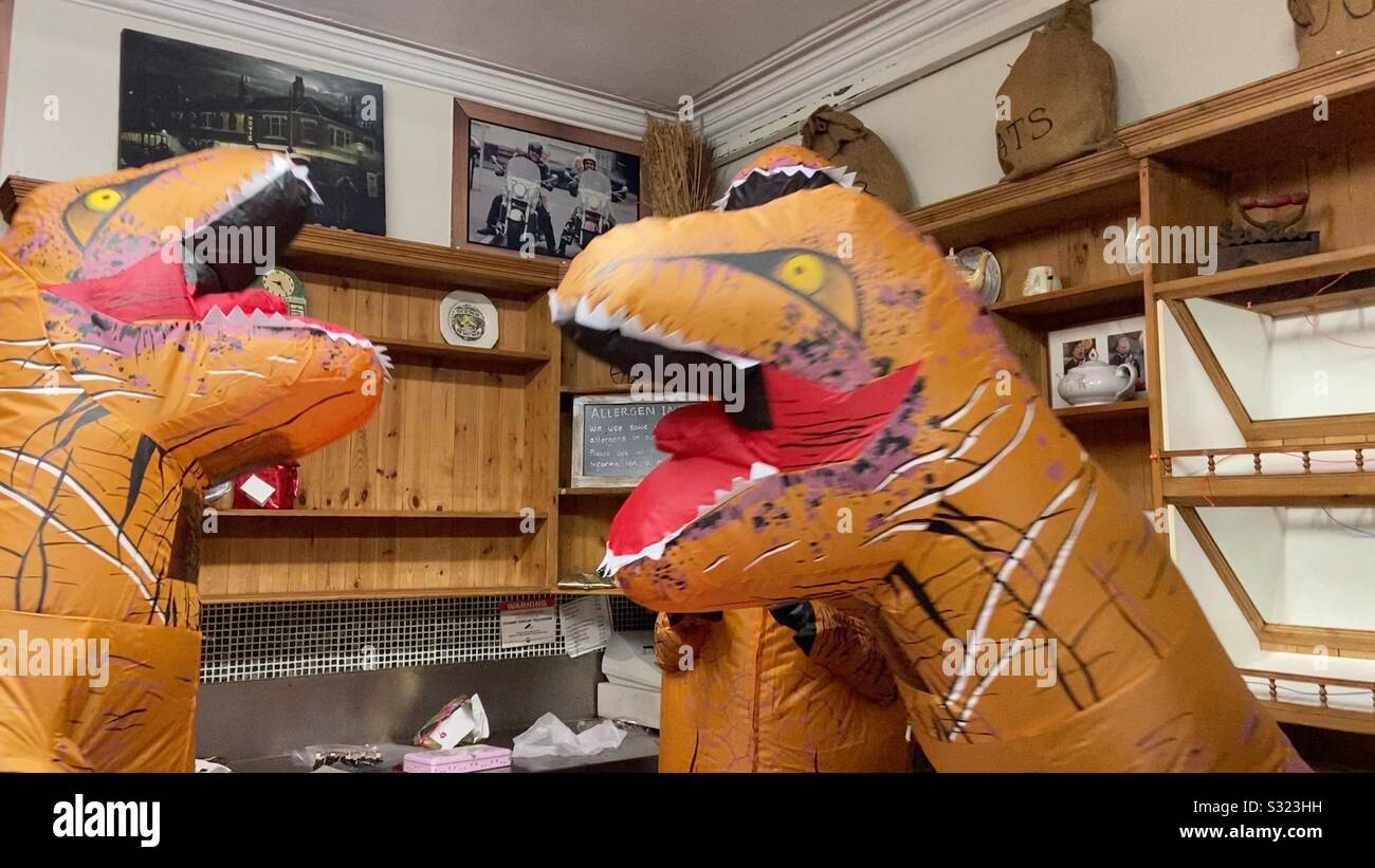 Dinosaurs fighting in a bakery - Smartphone Captured Stock Image