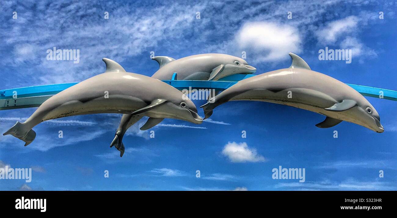 Flying dolphins, Vilano Beach Pier, St Augustine, Florida Stock Photo