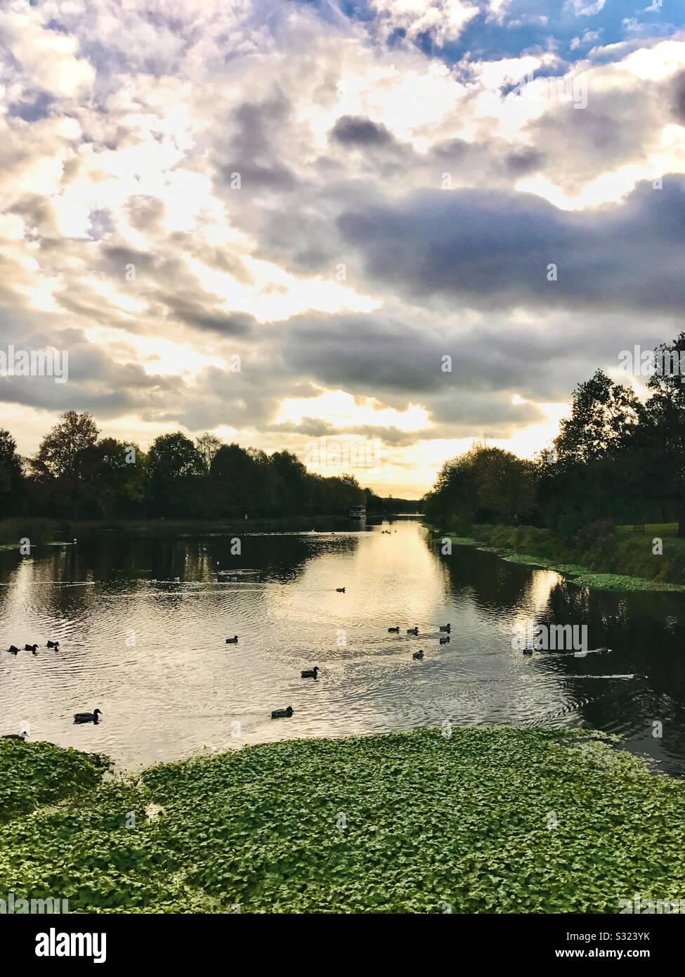 River at dusk Stock Photo - Alamy