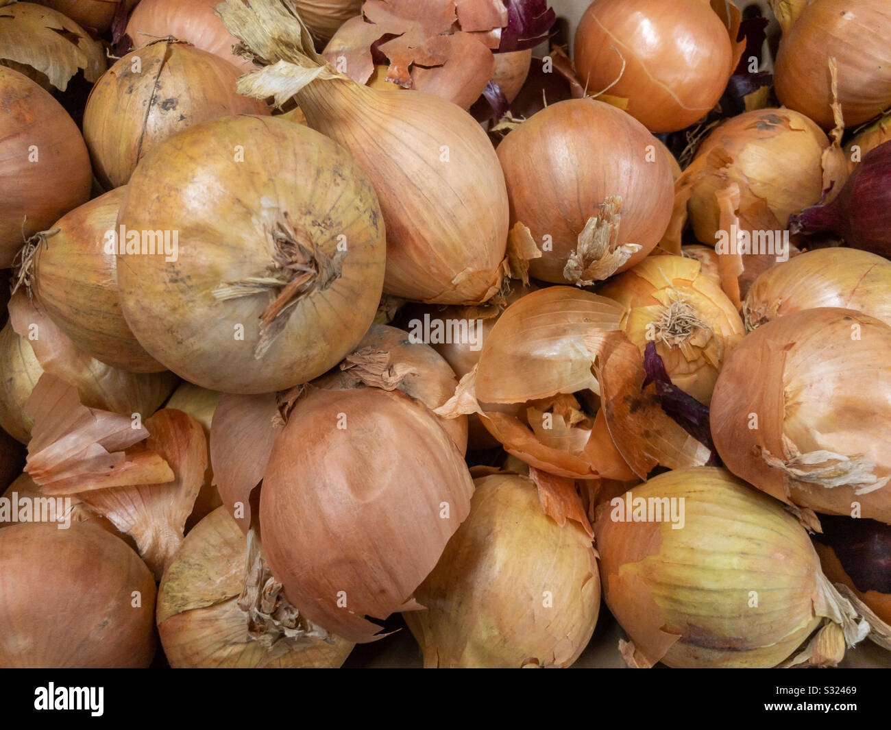 A pile of onions on display in a supermarket. - Smartphone Captured Stock Image