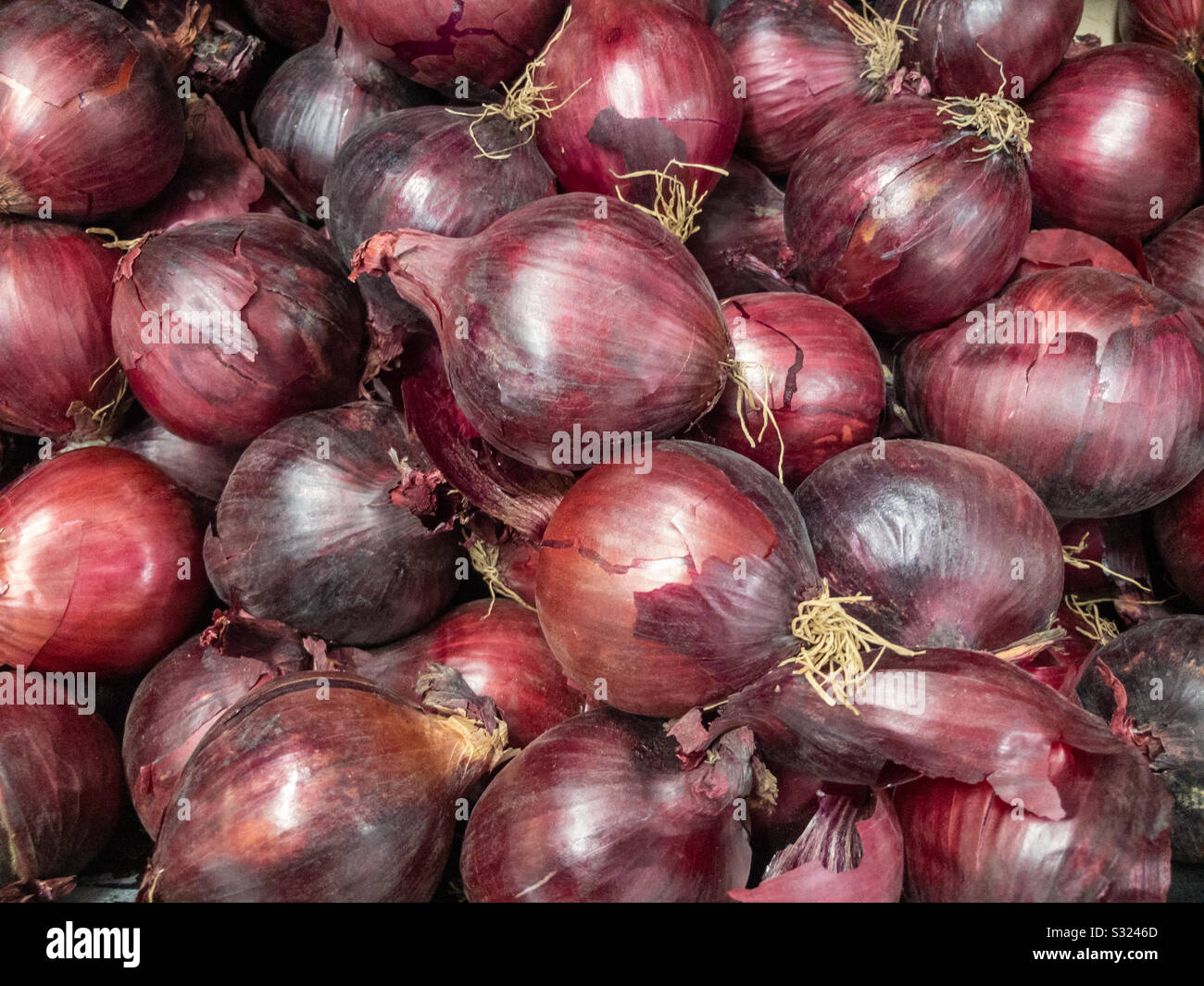 A pile of red onions on display in a supermarket. - Smartphone Captured Stock Image