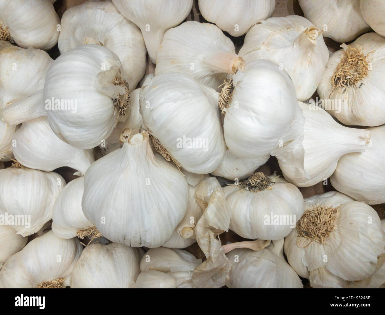 A pile of garlic bulbs on display in a supermarket. - Smartphone Captured Stock Image