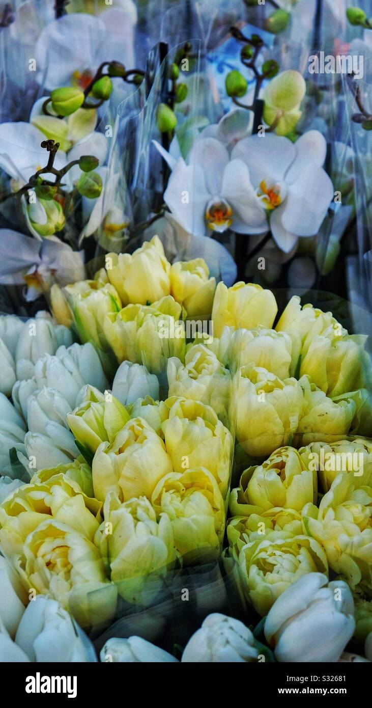 Flowers for sale Stock Photo