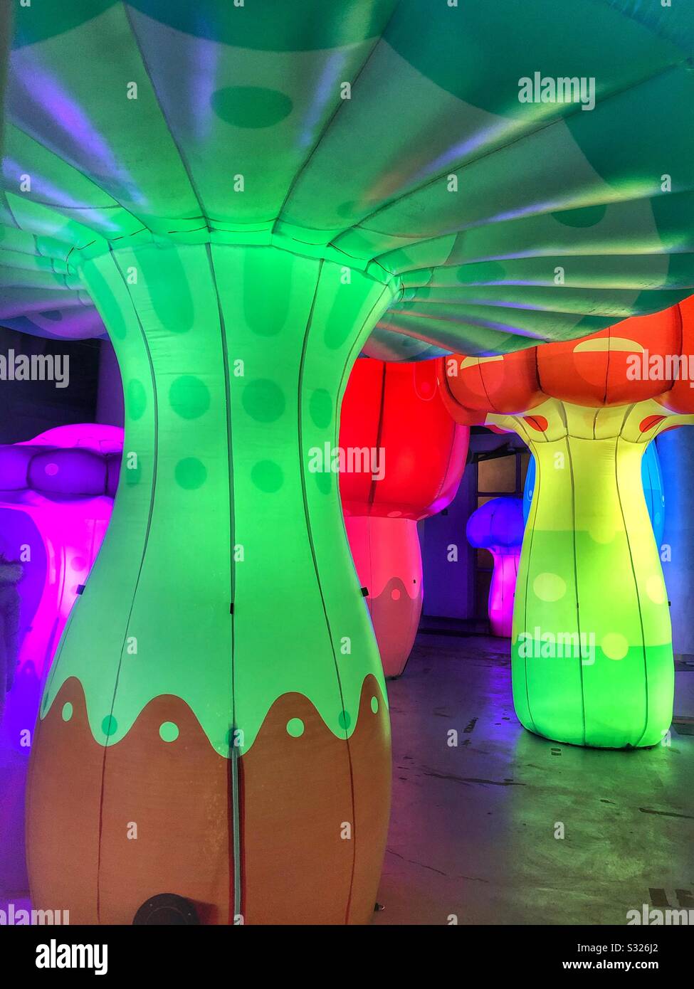 Illuminated mushrooms at Toronto’s Light Fest. - Smartphone Captured Stock Image