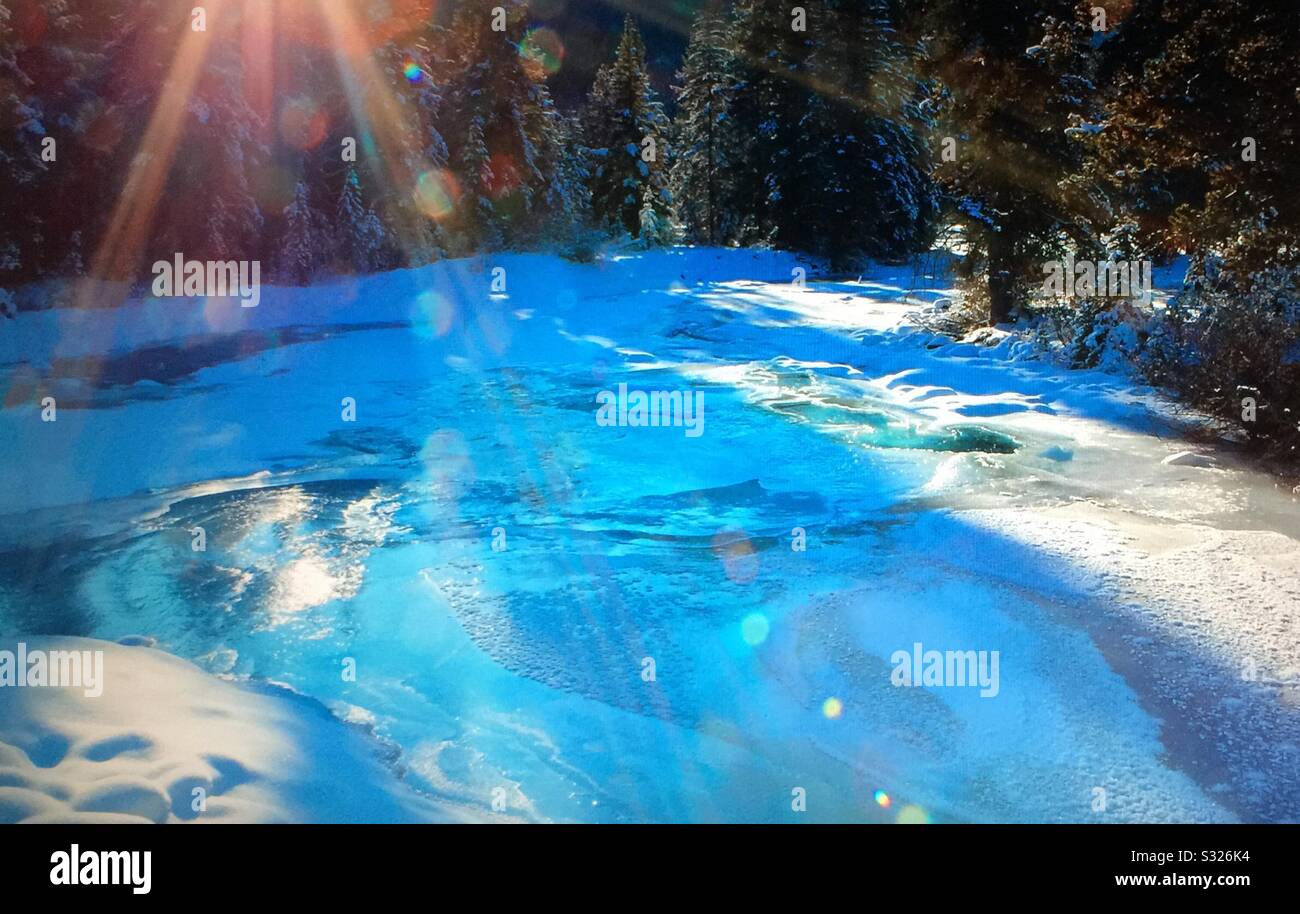 Travel Alberta, Baker Creek, lens flares, winter sun, Banff National Park, Alberta, Canada. - Smartphone Captured Stock Image