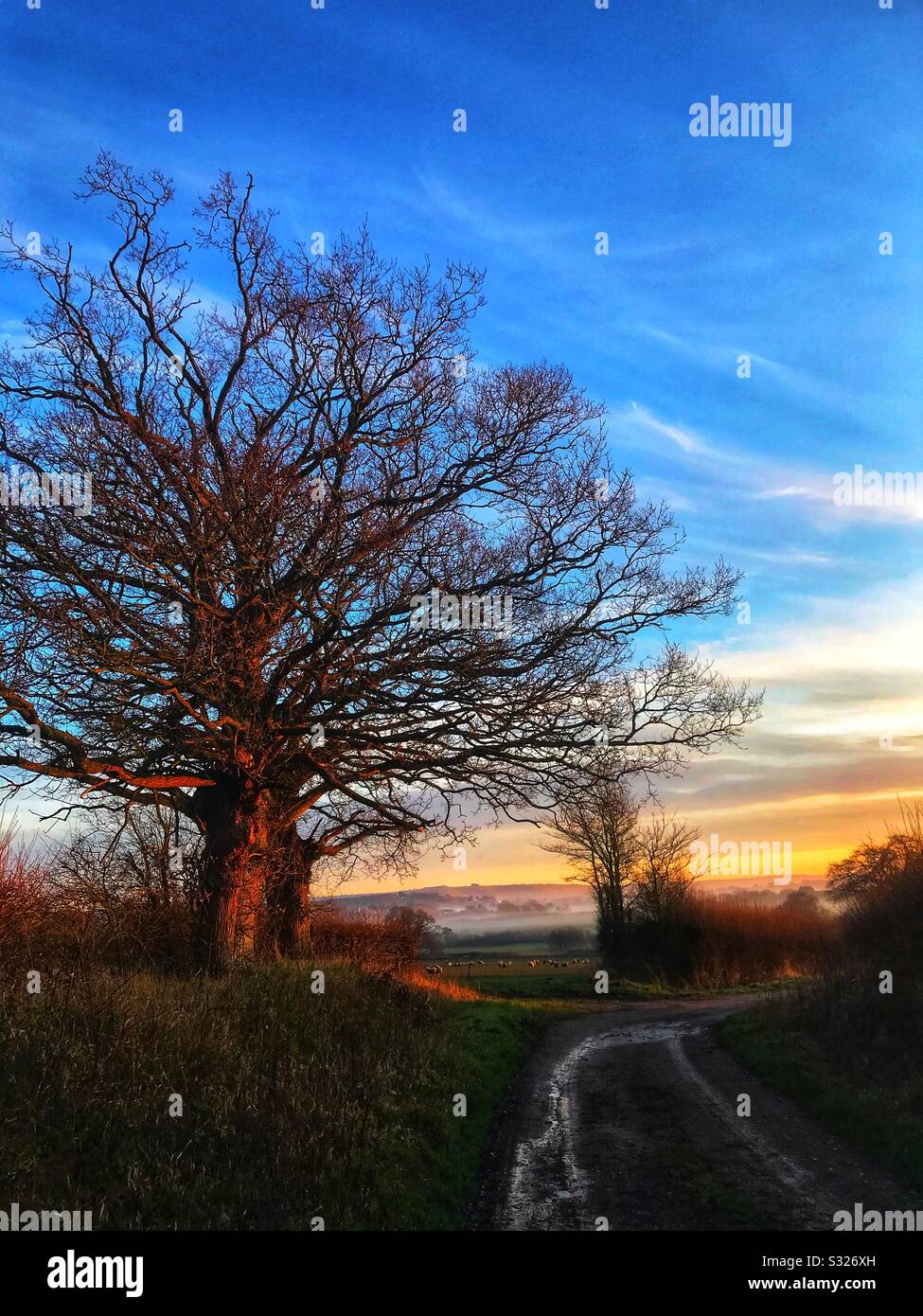 Dorset Landscape - Smartphone Captured Stock Image