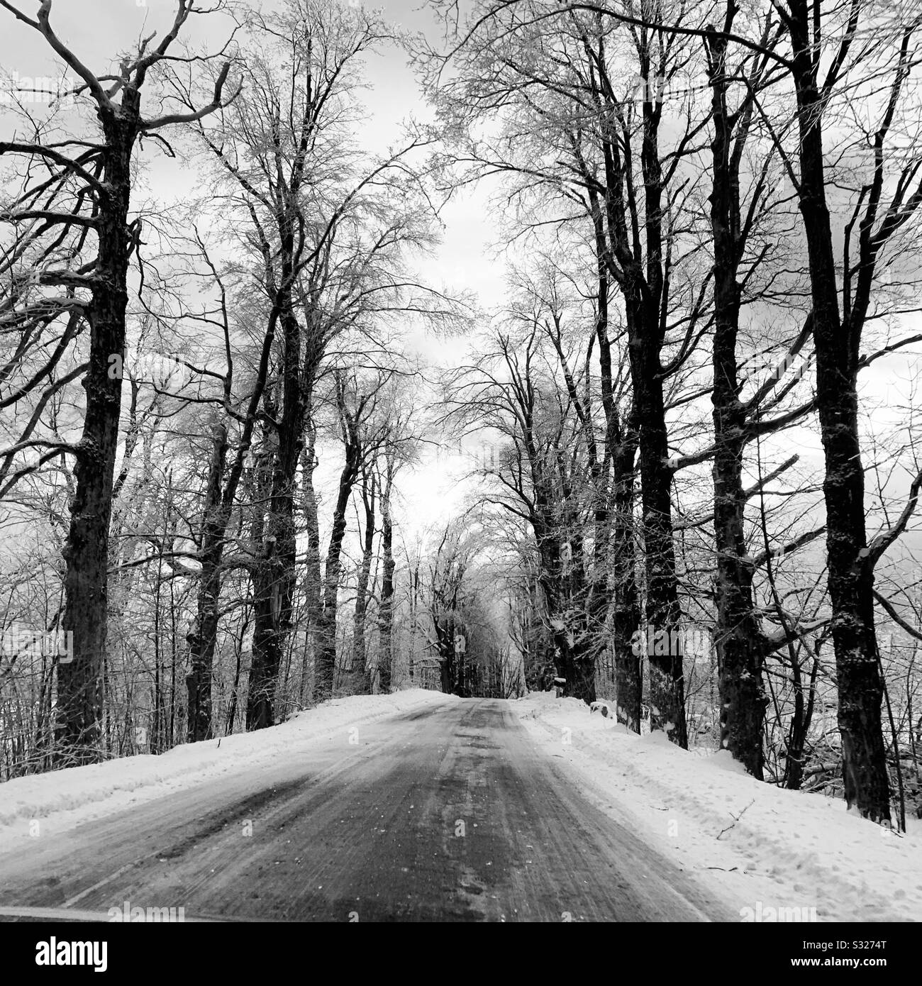 Black and white image of a winter drive on a country road in Massachusetts, United States - Smartphone Captured Stock Image