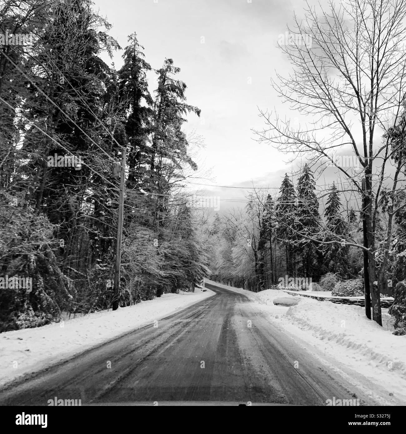 Black and white image of a rural road in winter, Massachusetts, United States - Smartphone Captured Stock Image