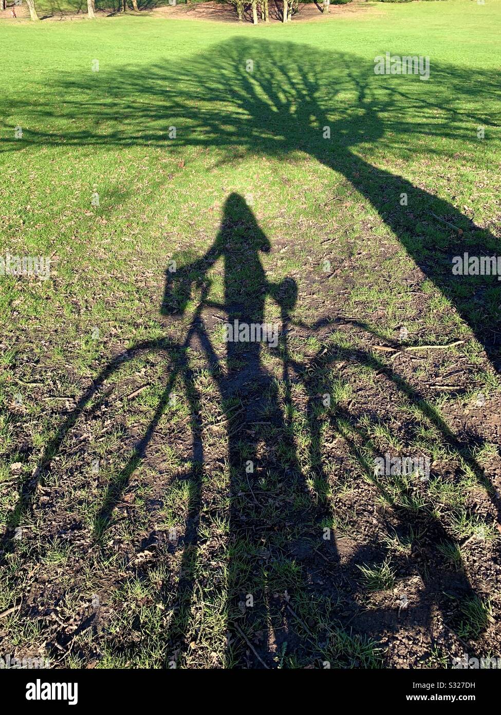 Long Shadow of female cyclist and shadow of tree on green grass at Crystal a palace park - Smartphone Captured Stock Image