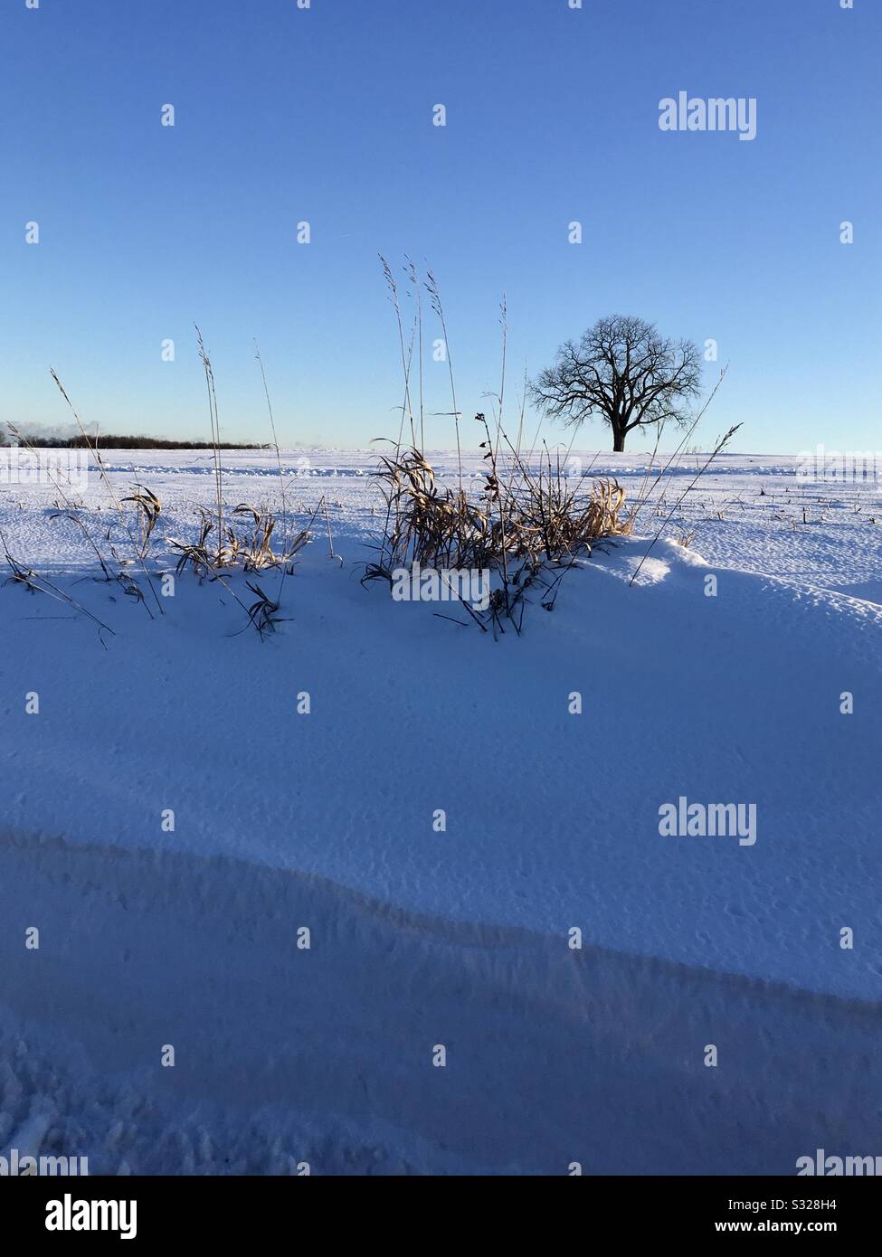 Markham hires stock photography and images Alamy