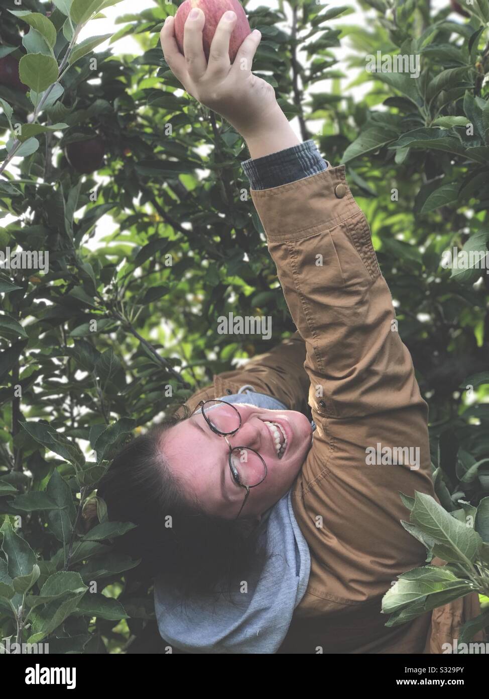 Lynd Fruit Farms, Ohio Stock Photo Alamy