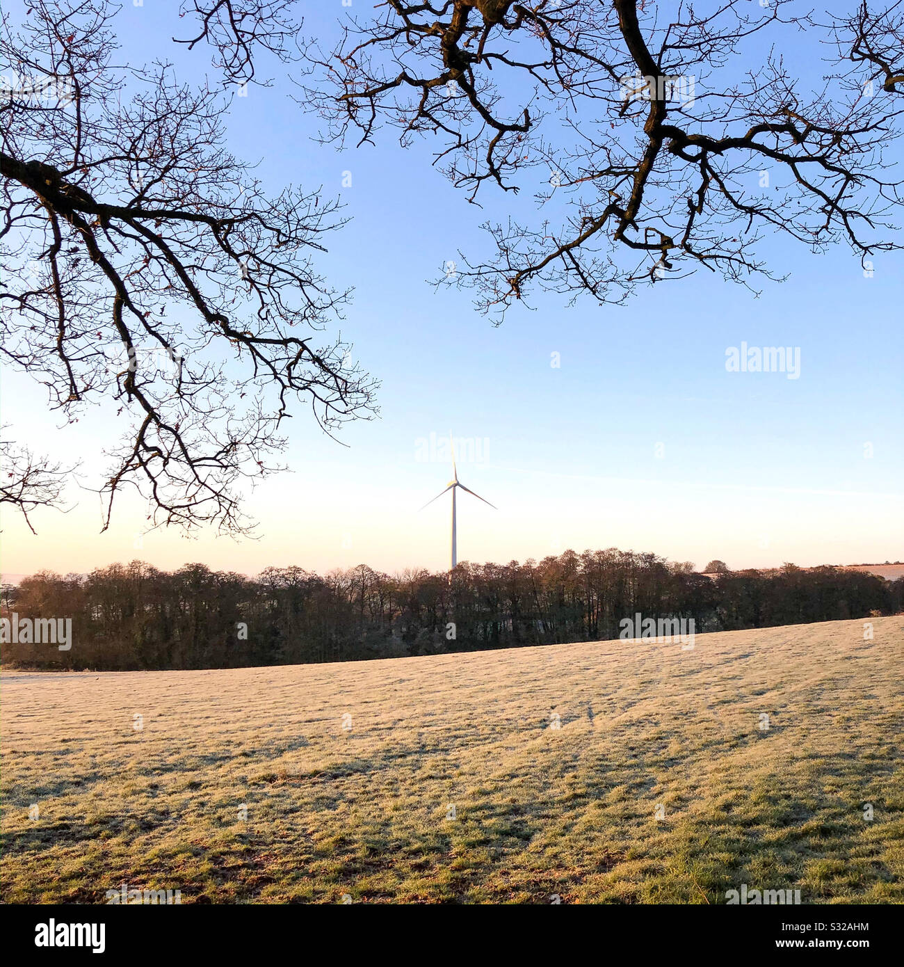 Wind turbine with trees and frost. - Smartphone Captured Stock Image