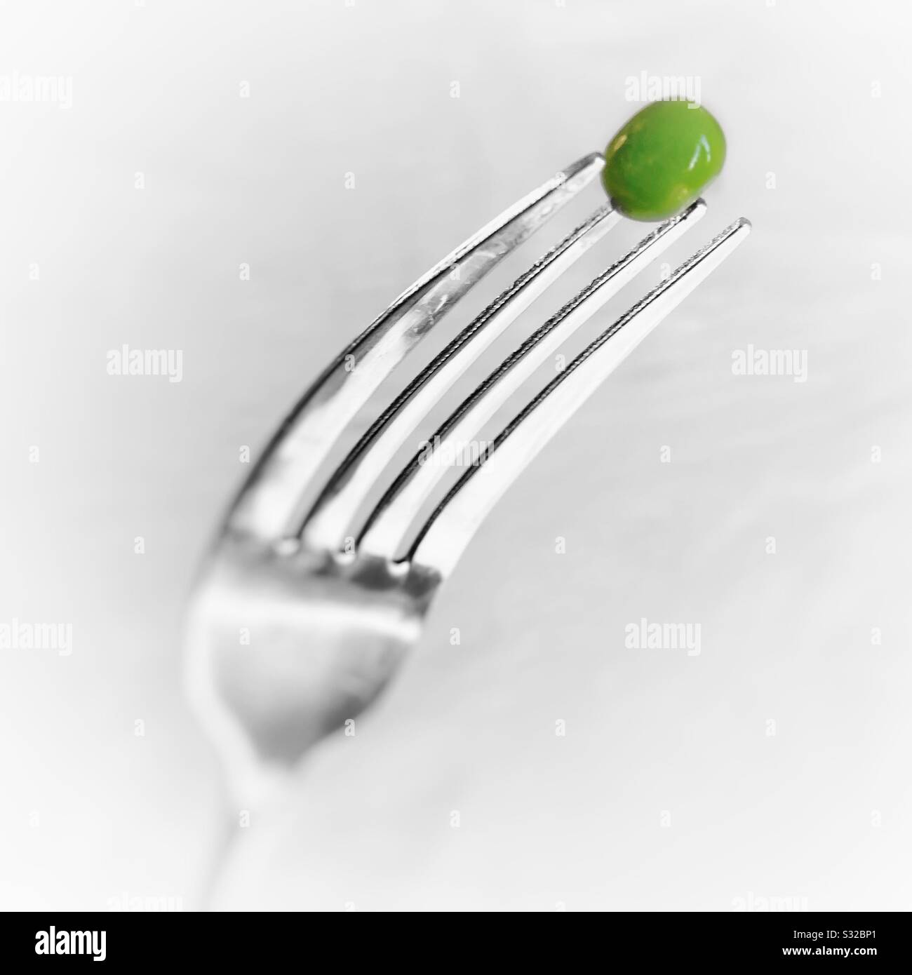 Still life: Closeup of steel dinner fork with a single green pea on light background. Stock Photo