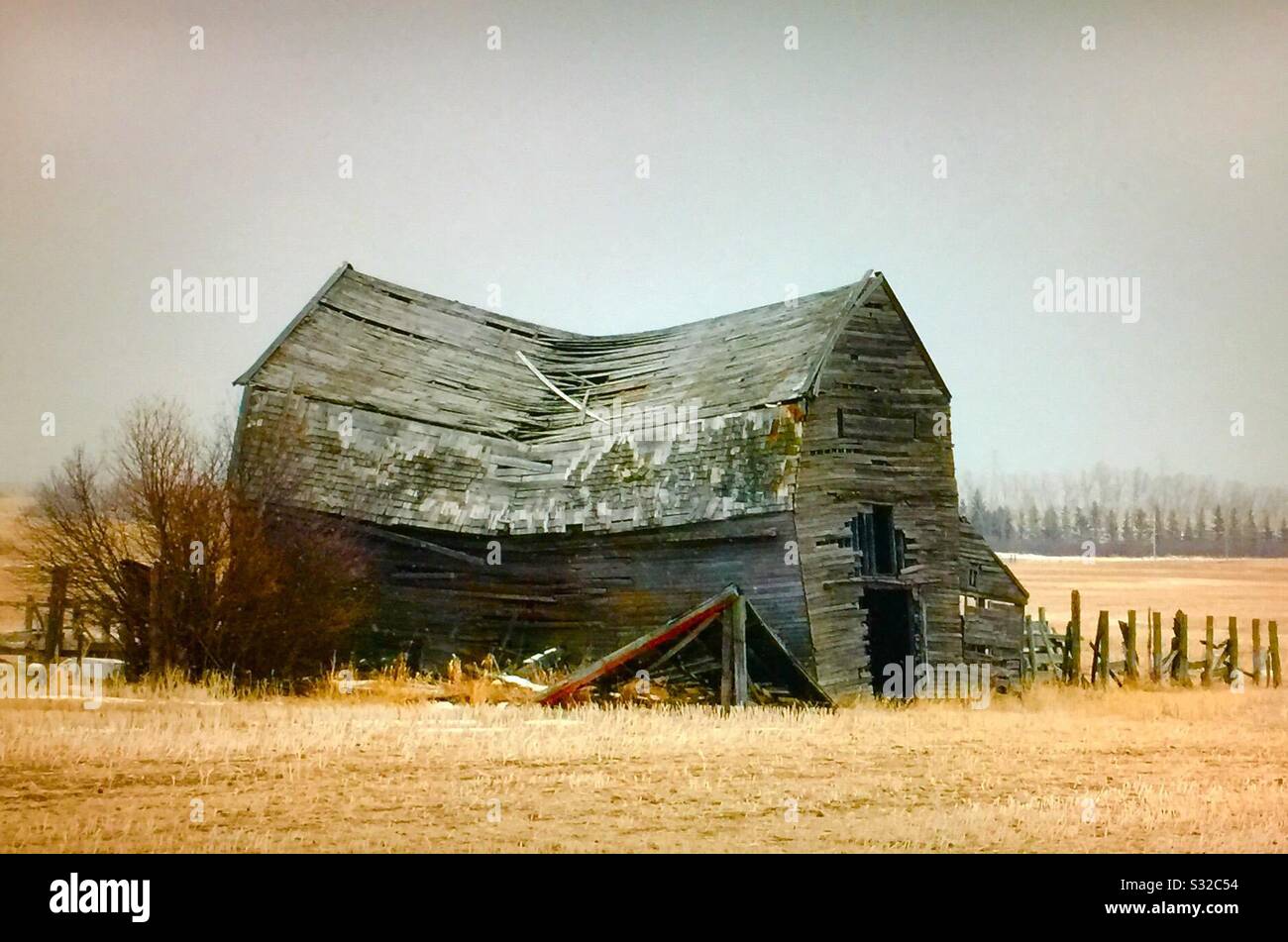 Old barn, deterioration, farmstead, Alberta ,prairies, Canada Stock Photo