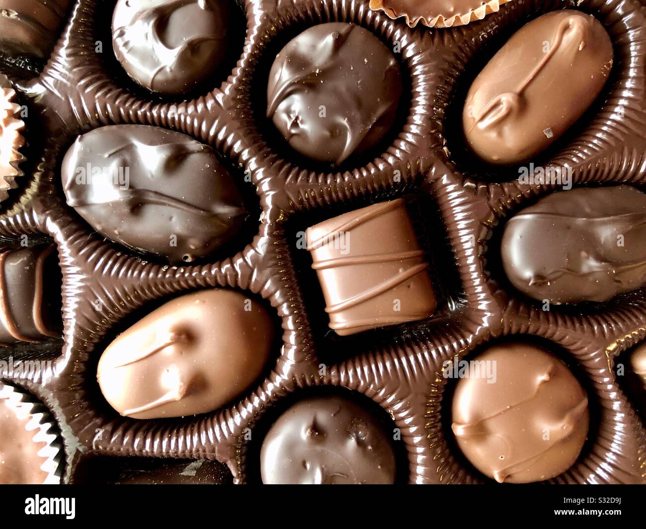 Chocolates Stock Photo