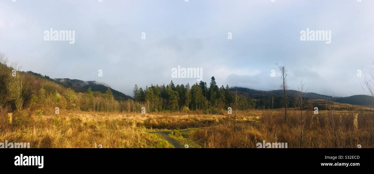 Panoramic view of Glentrool, Galloway Forest Park, Dumfries and Galloway, Scotland Stock Photo