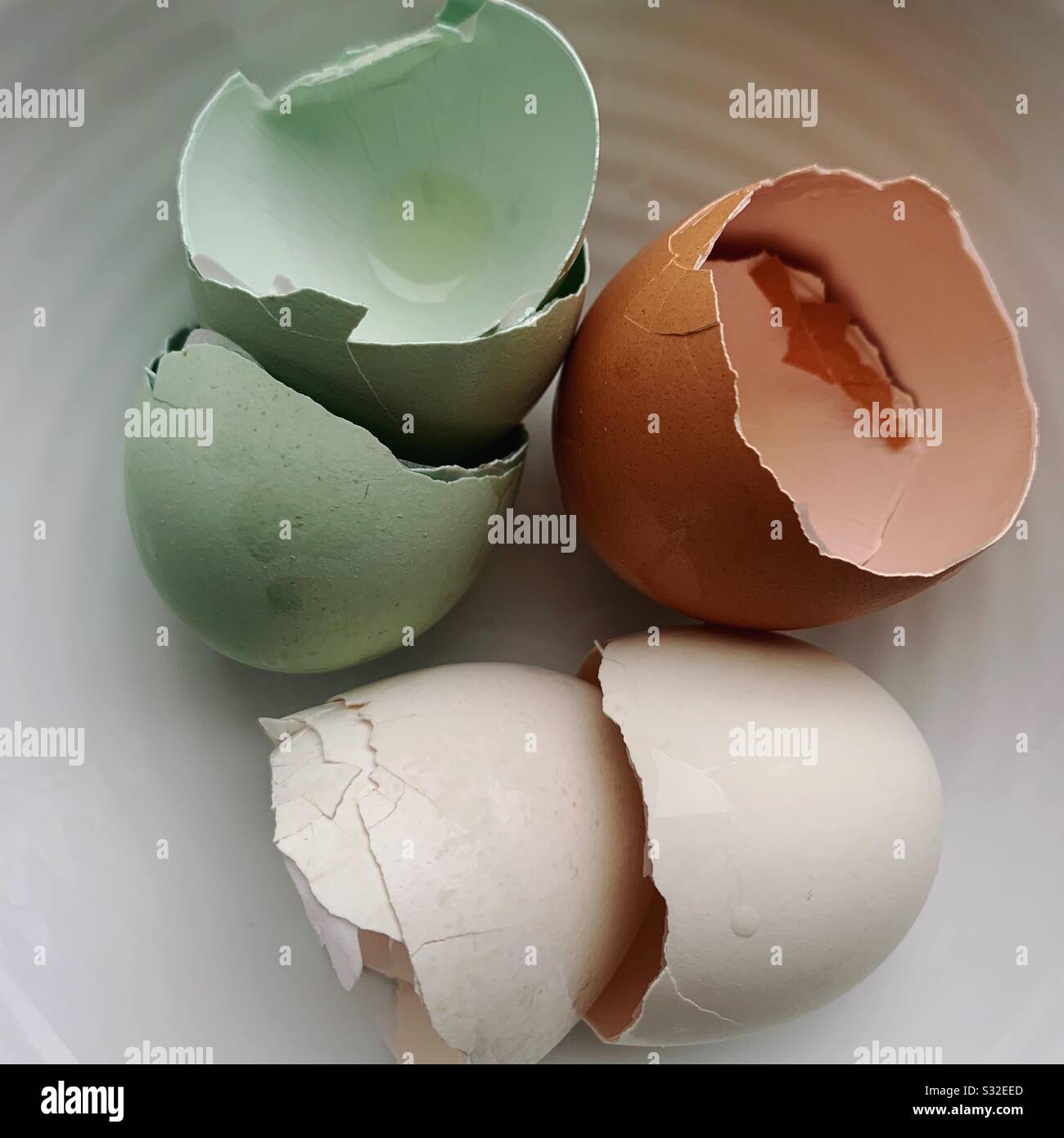 Broken eggshells in white, brown, and blue - Smartphone Captured Stock Image
