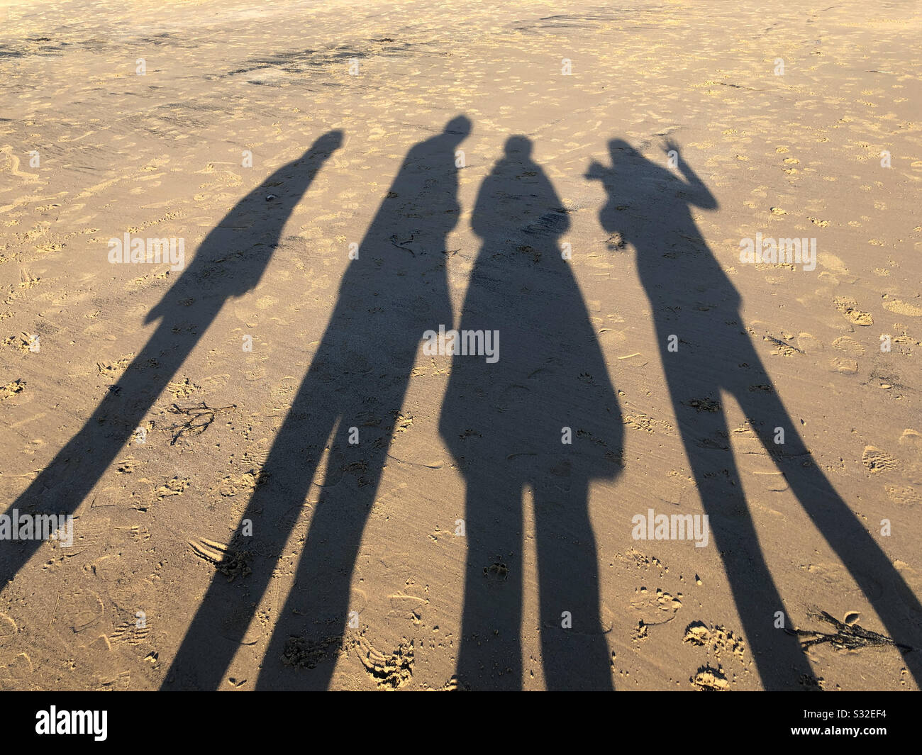 Long winter shadows of 4 people and a dog on a sandy beach - Smartphone Captured Stock Image