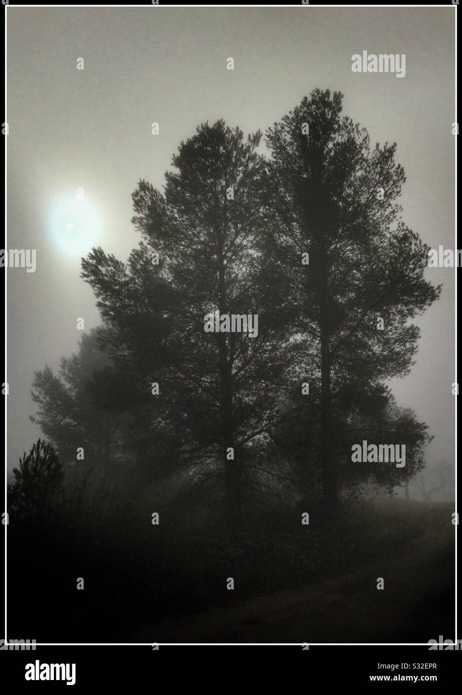 Sun burns through the fog, Catalonia, Spain. - Smartphone Captured Stock Image