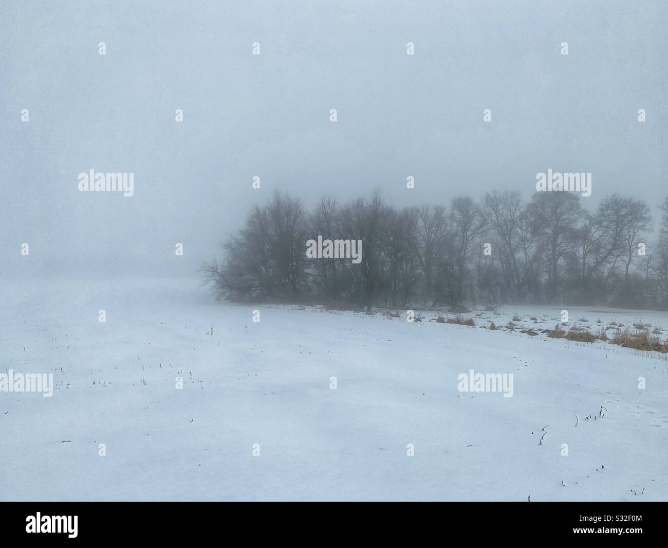 Fog landscape trees snow and mist hi-res stock photography and images ...