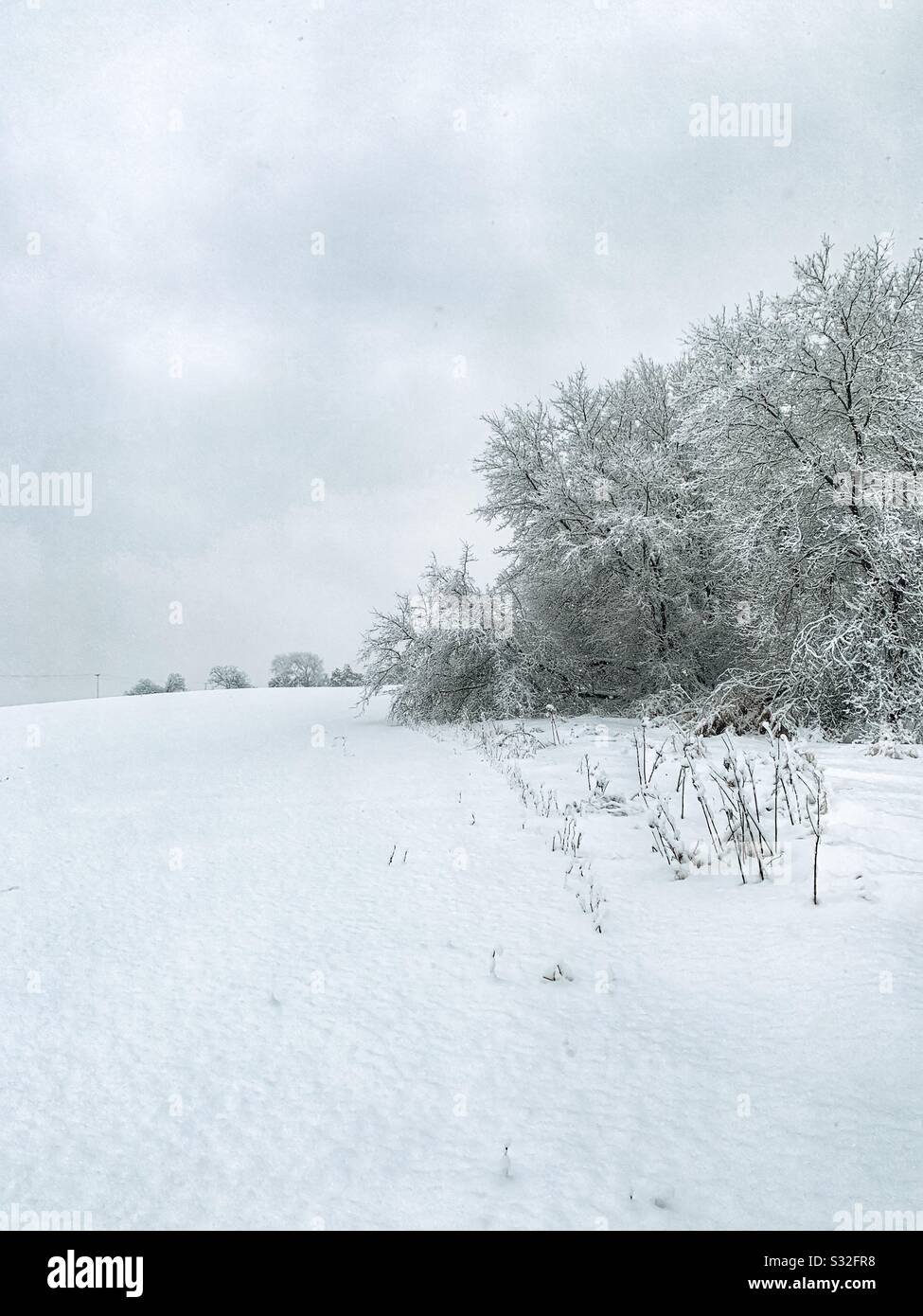 Winter landscape with snowy trees Stock Photo - Alamy