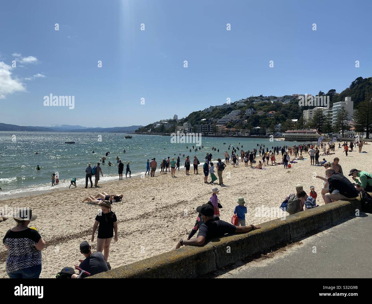 Ocean Swim Wellington New Zealand - Smartphone Captured Stock Image