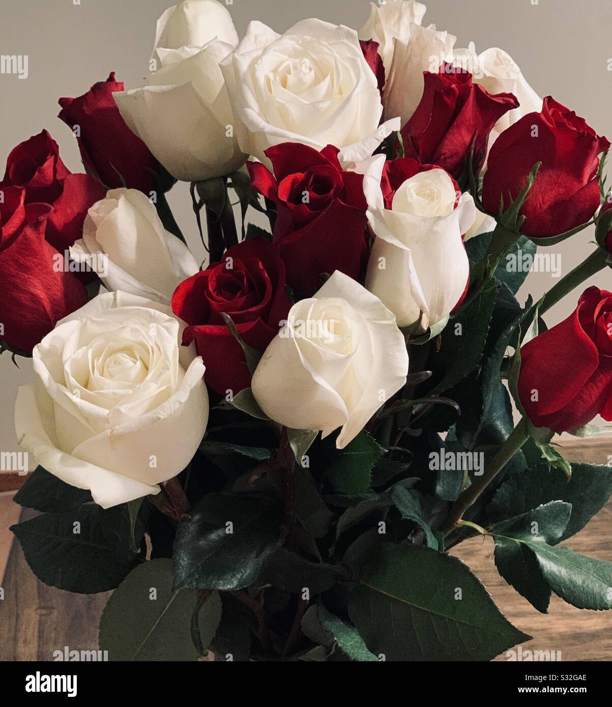 Lovely white and red roses Stock Photo Alamy