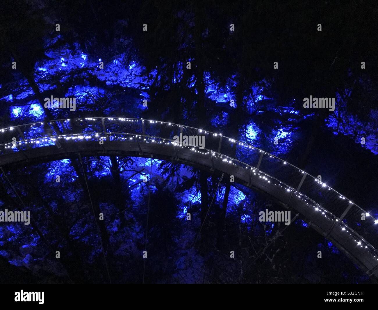 Canyon lights at Capilano Suspension Bridge Stock Photo