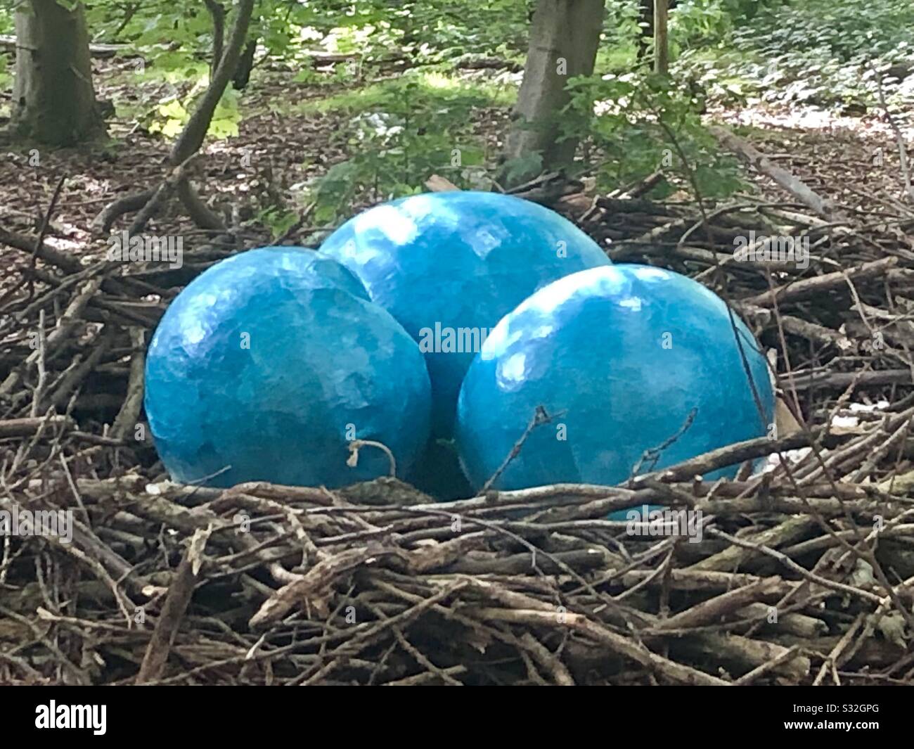 Nest of eggs Stock Photo