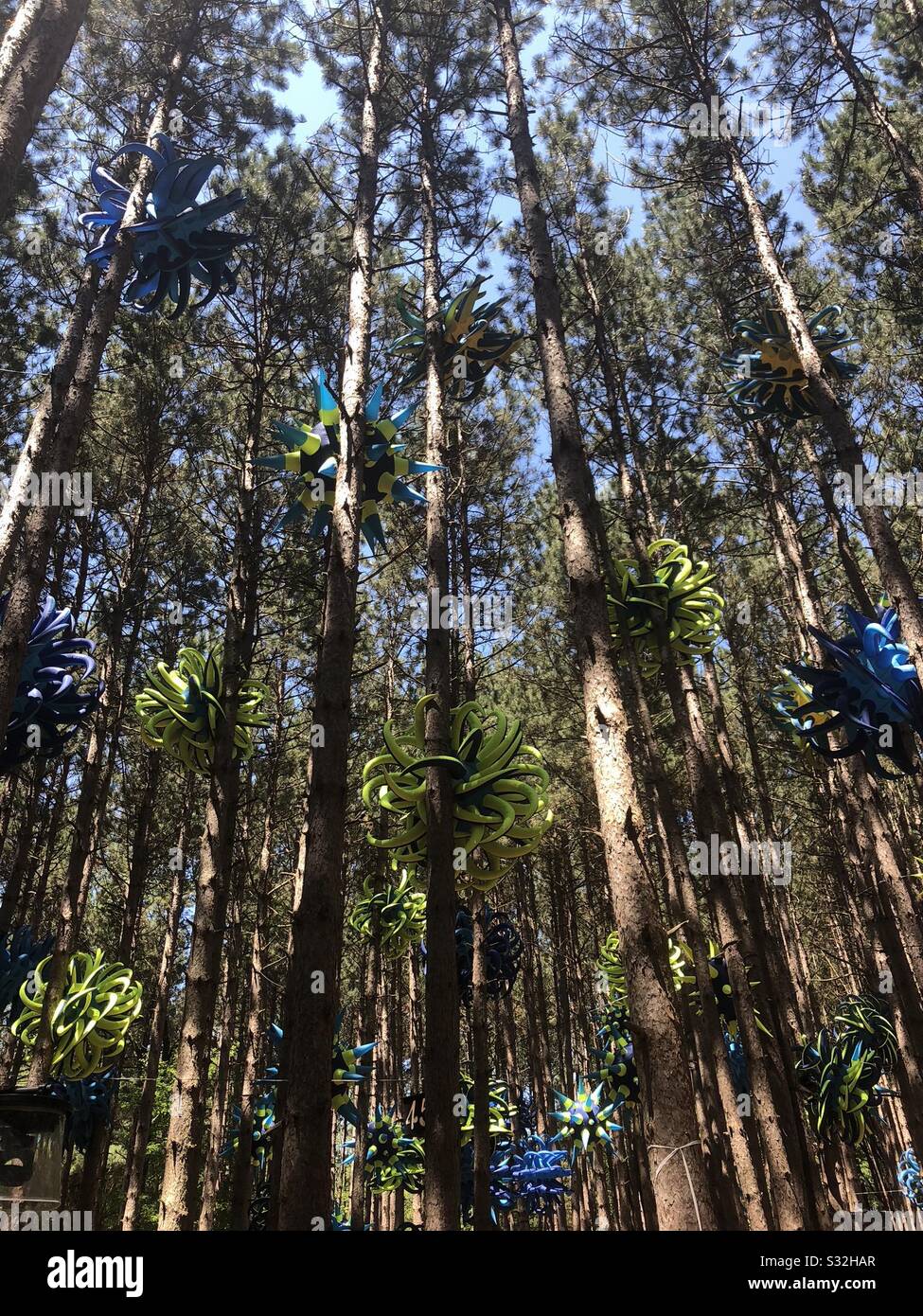 Electric Forest Views Stock Photo Alamy
