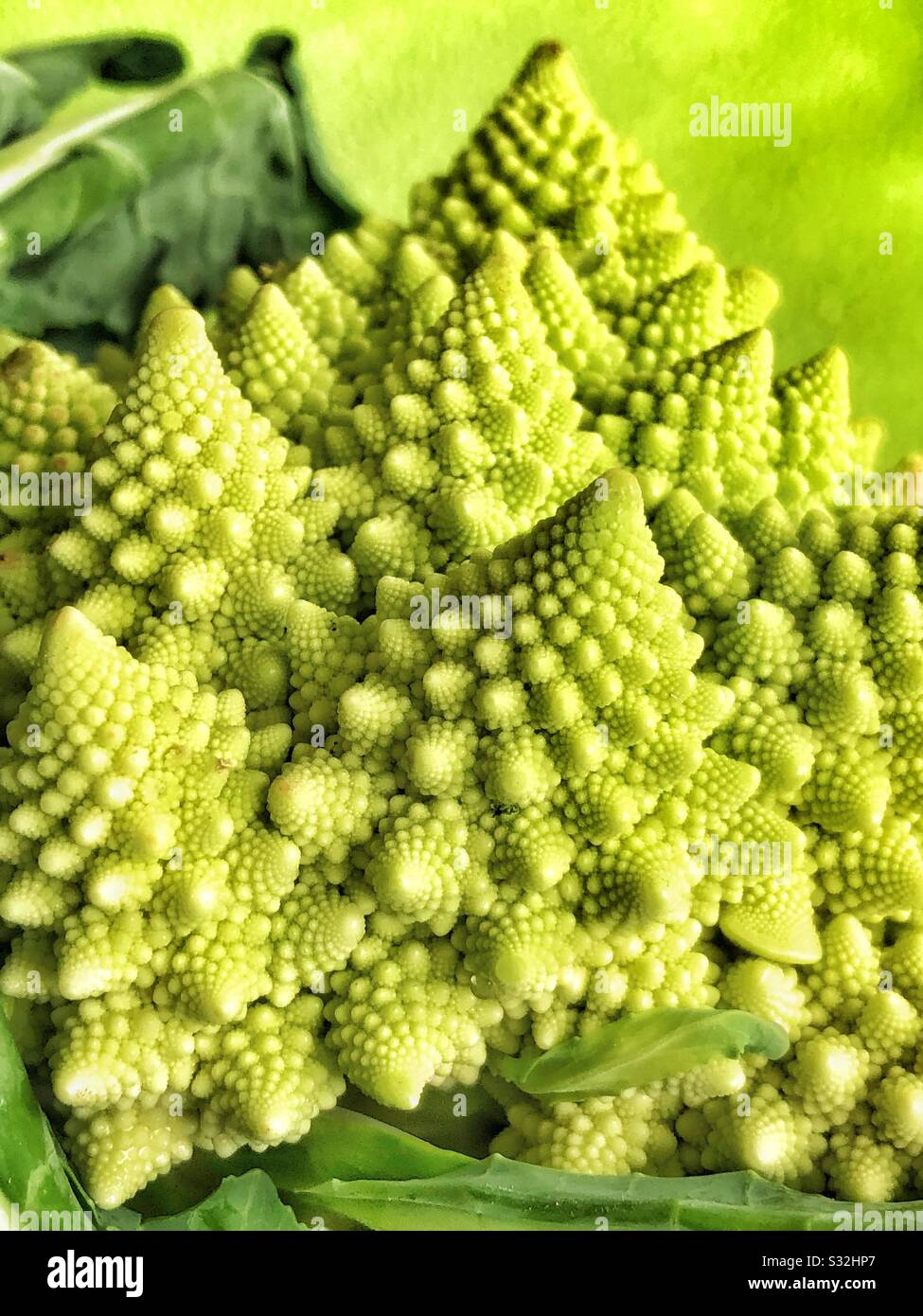 Fresh green Spirals of Romanesco broccoli close up Stock Photo