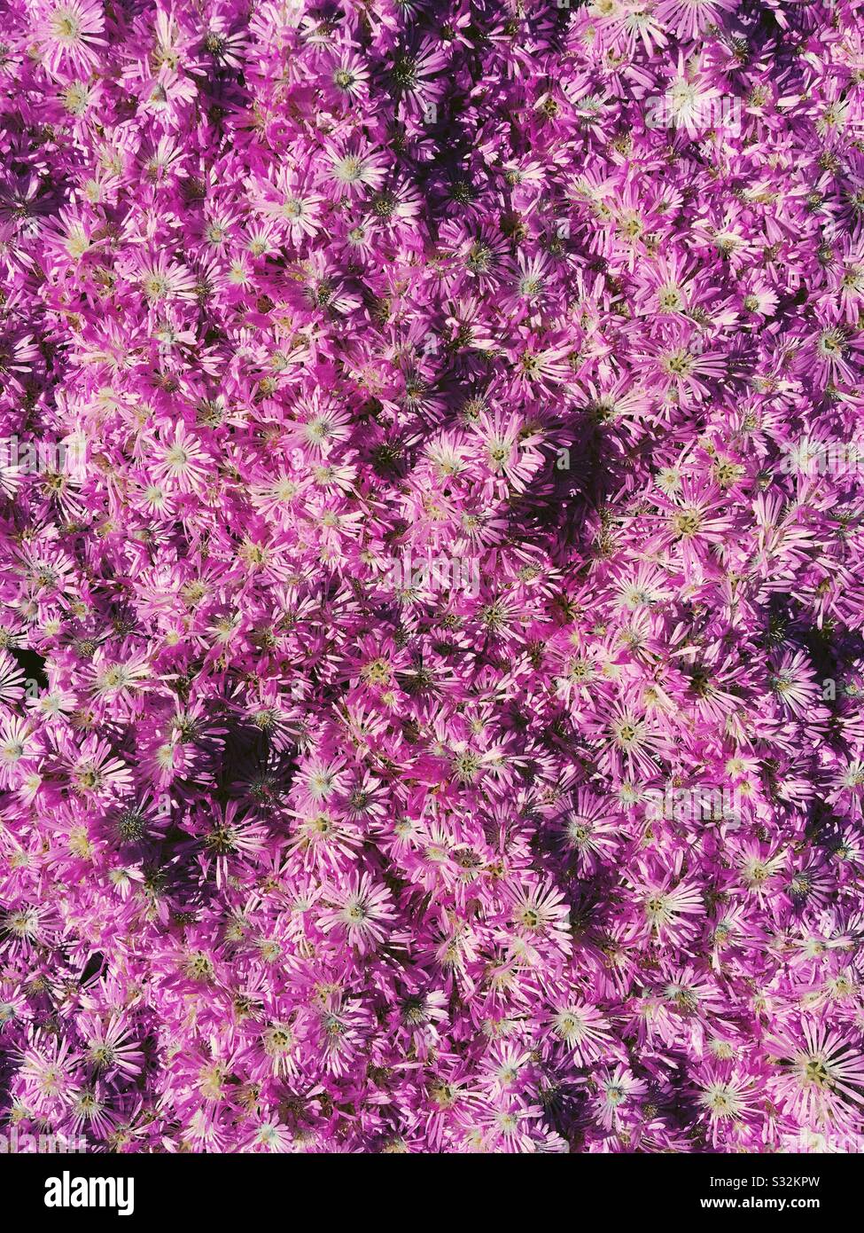 Palo Alto, CA Stock Photo Alamy