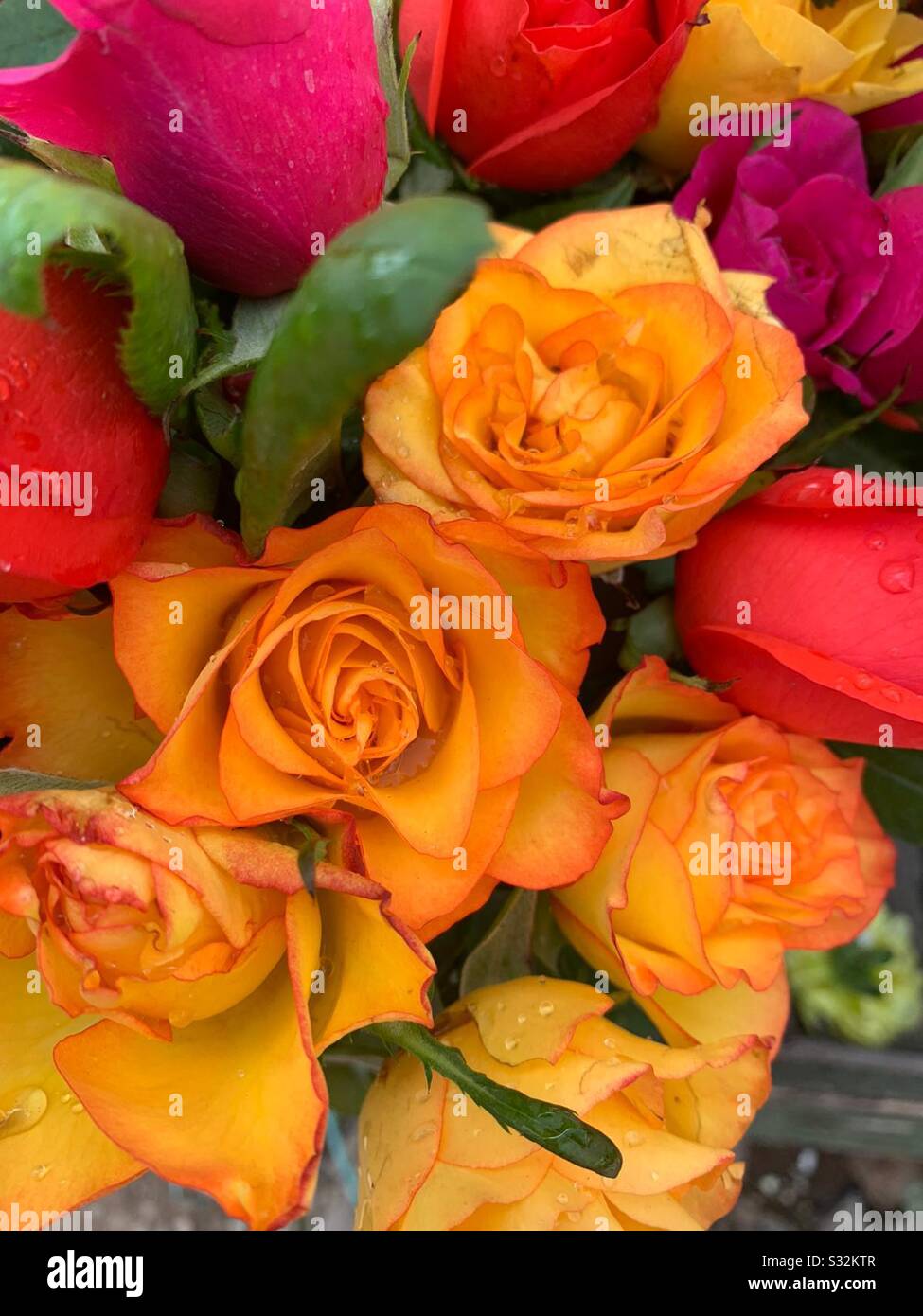 Bunch of colourful Aromatic Roses for sale , yellow roses arranged in line , red rose, yellow