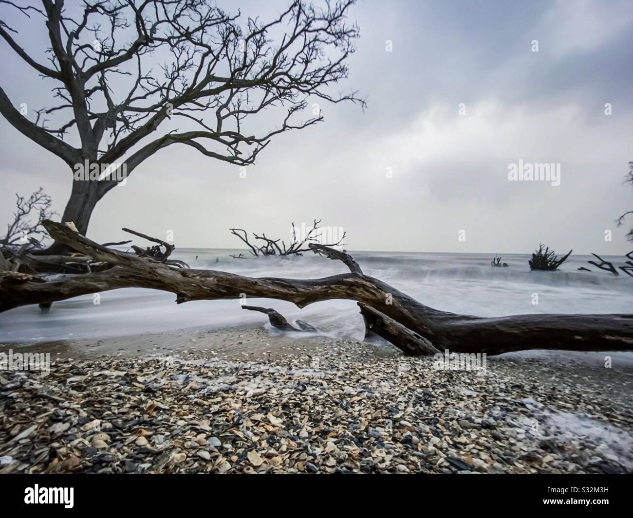 Edisto beach hires stock photography and images Alamy