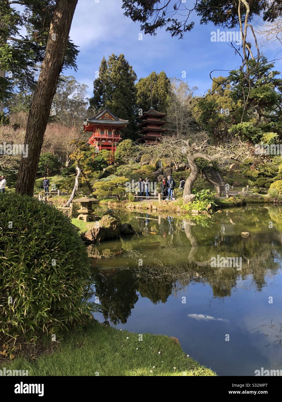 Japanese Tea Garden in San Francisco Stock Photo