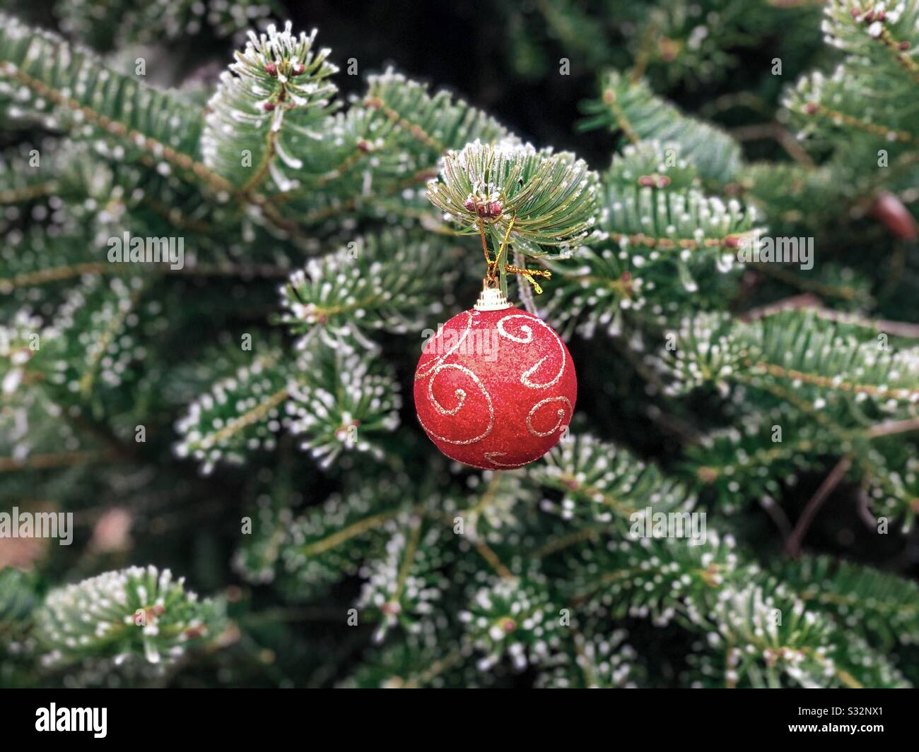 Christmastree bauble hi-res stock photography and images - Alamy