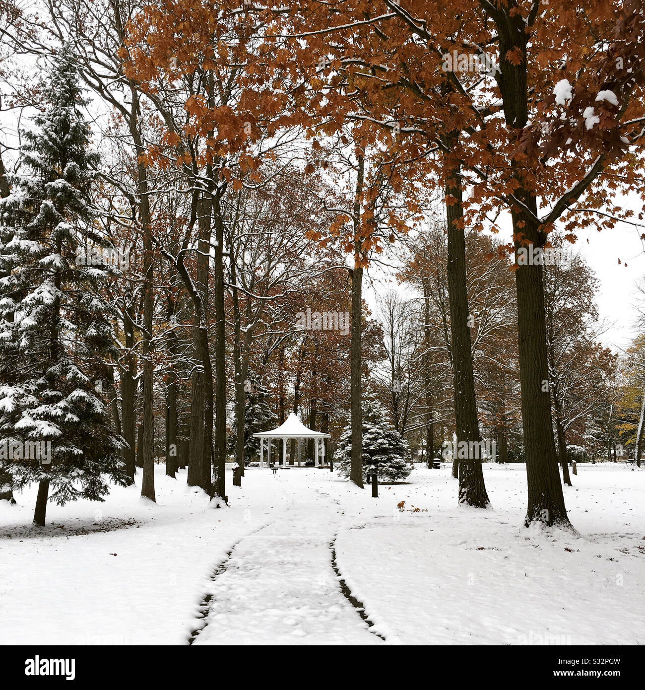Mixed up seasons hi-res stock photography and images - Alamy