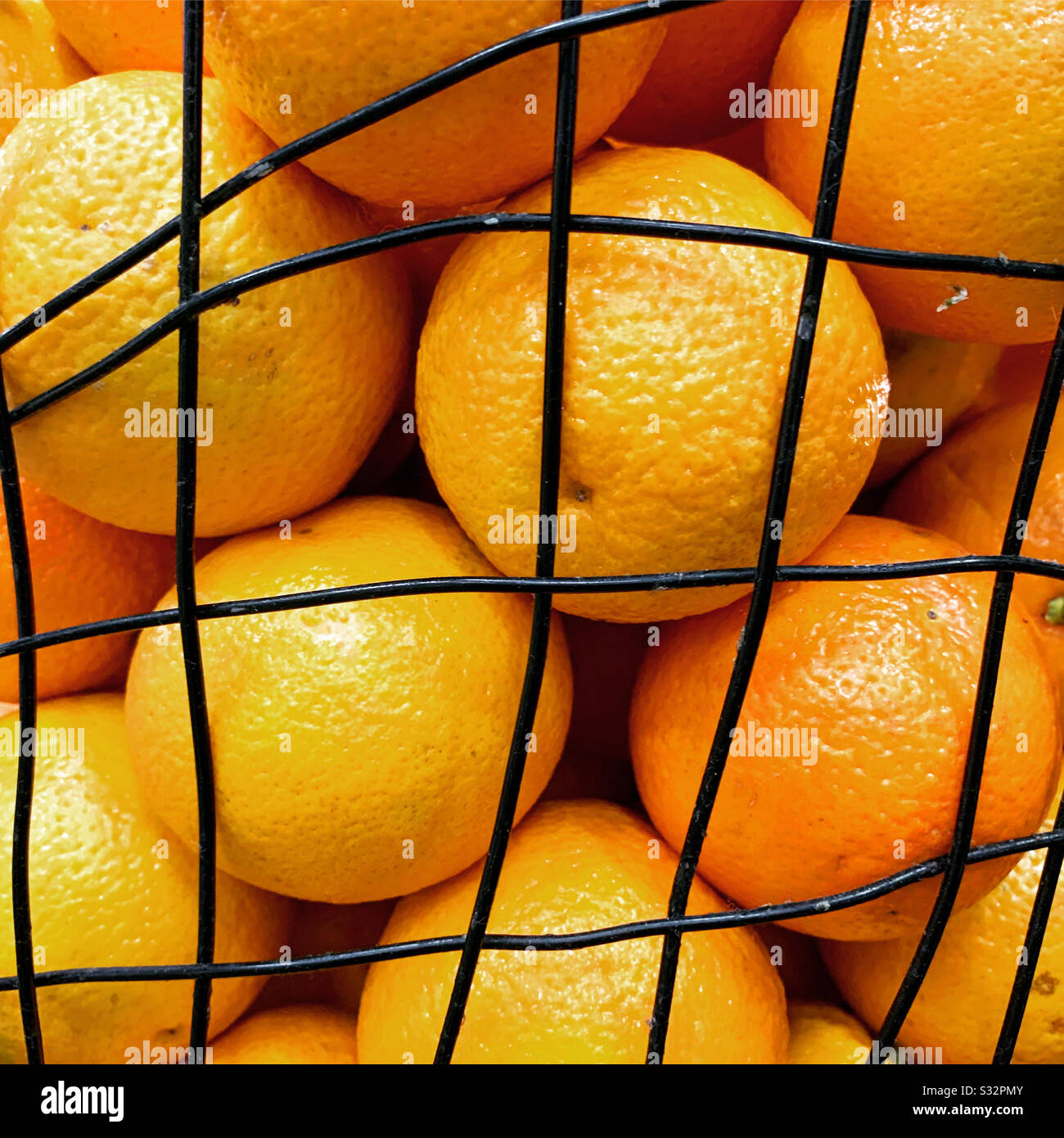 Basket of oranges. Stock Photo