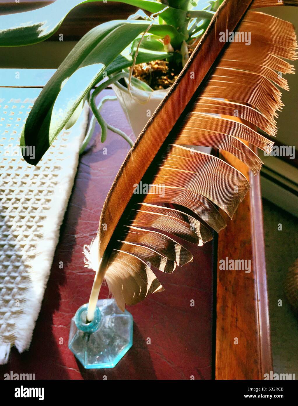 Turkey buzzard feather quill in an antique ink well, bucks county, Pennsylvania, USA - Smartphone Captured Stock Image