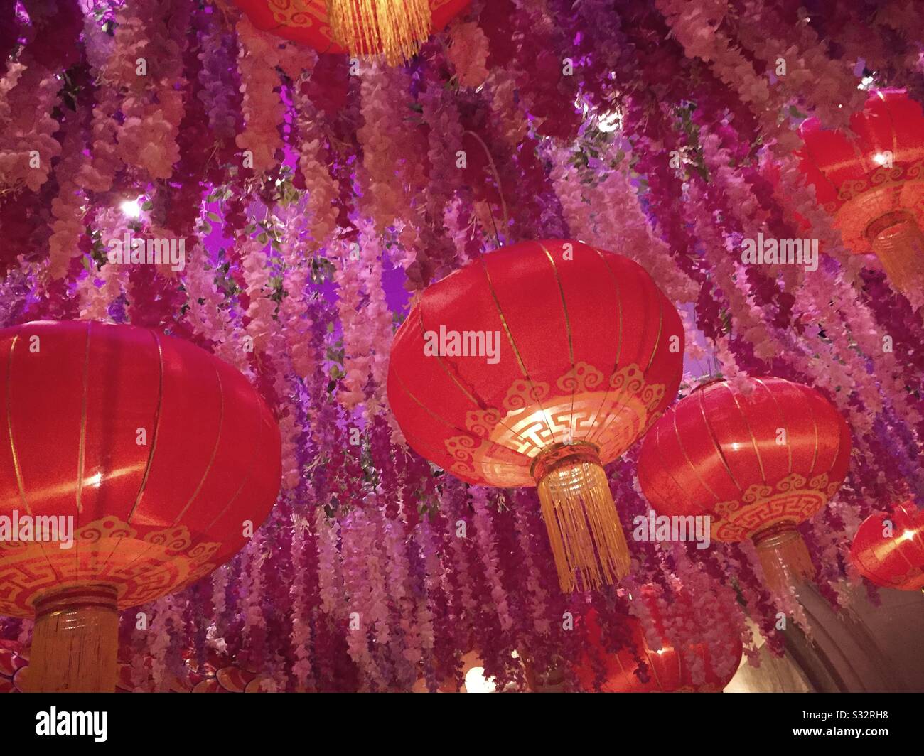Chinese paper lanterns celebrating the lunar new year, the year of the rat, United States - Smartphone Captured Stock Image