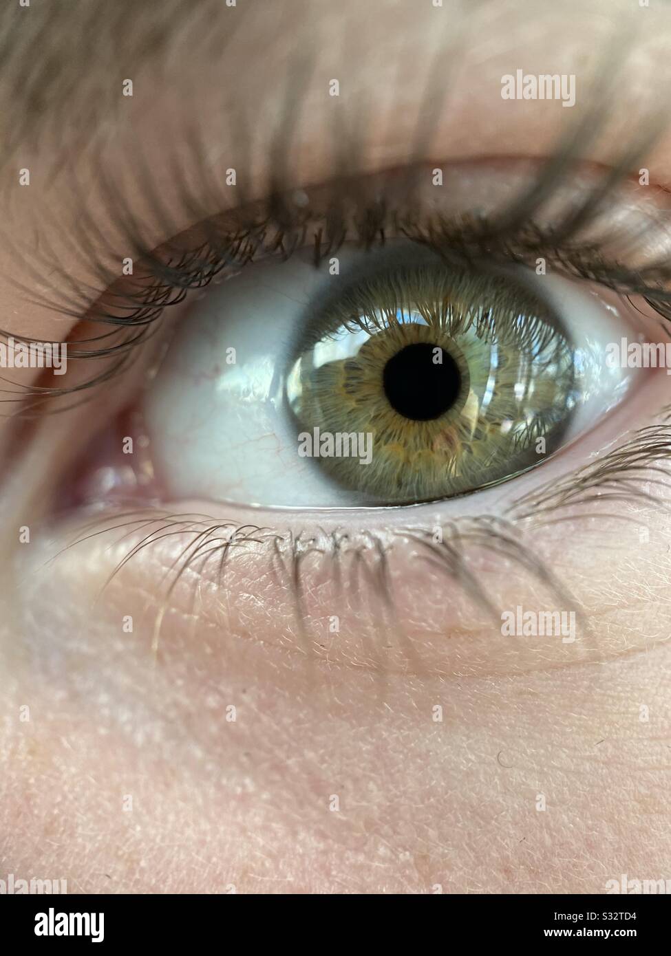 Sons eye hires stock photography and images Alamy