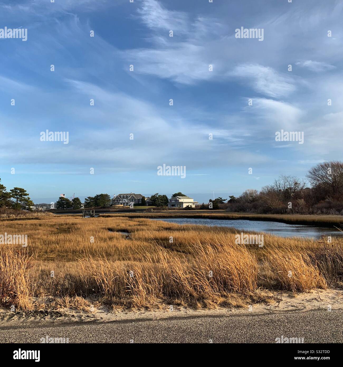 A winter view of wetlands in Woods Hole, Falmouth, Cape Cod, Massachusetts, United States - Smartphone Captured Stock Image