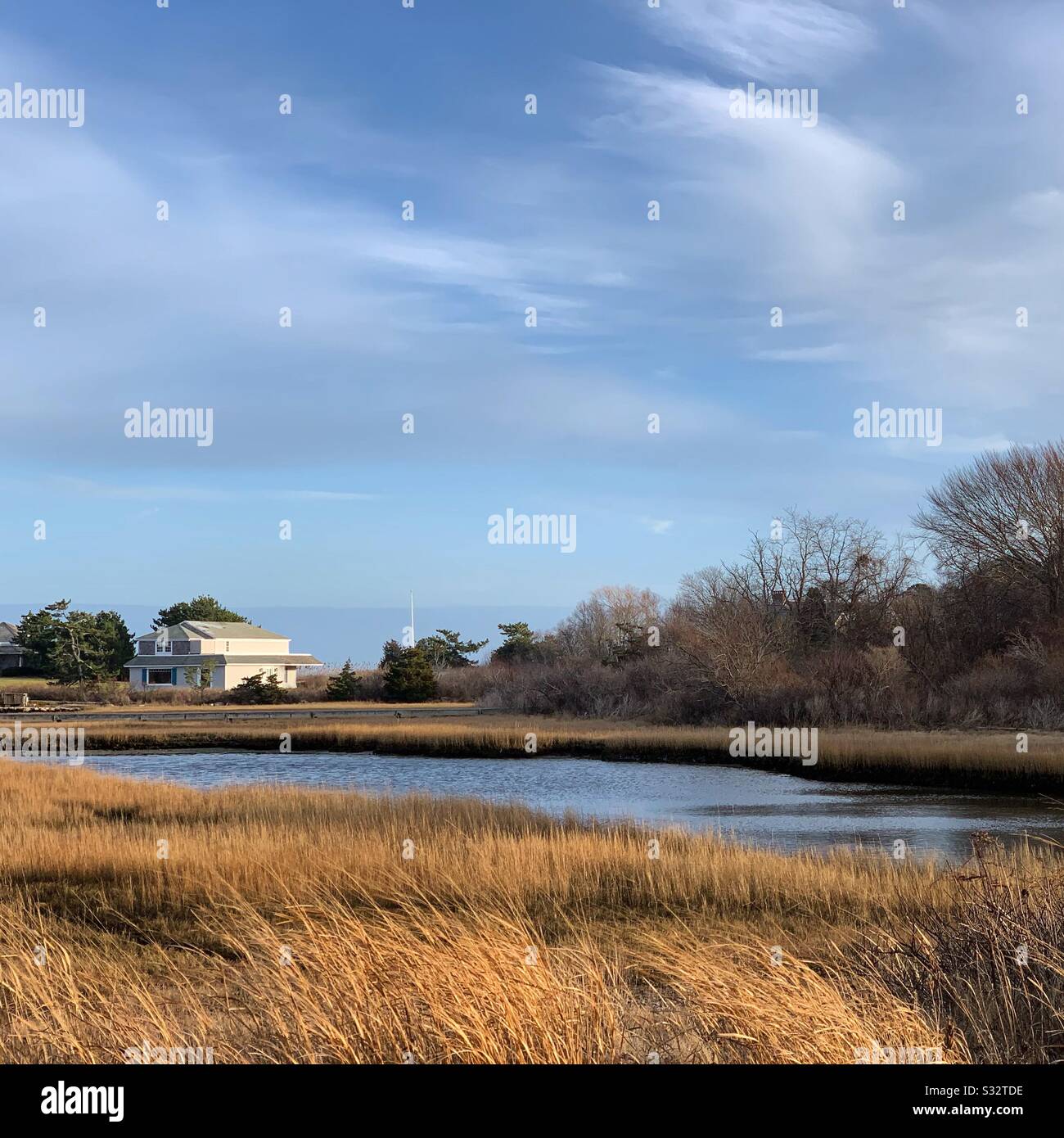 A winter view of wetlands in Woods Hole, Falmouth, Cape Cod, Massachusetts, United States - Smartphone Captured Stock Image