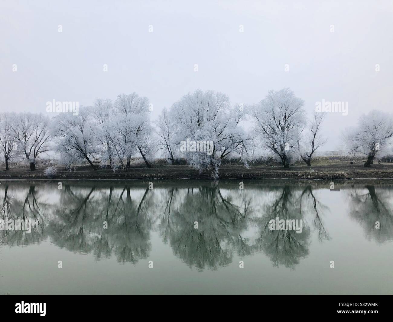 Reflected trees in winter hi-res stock photography and images - Alamy