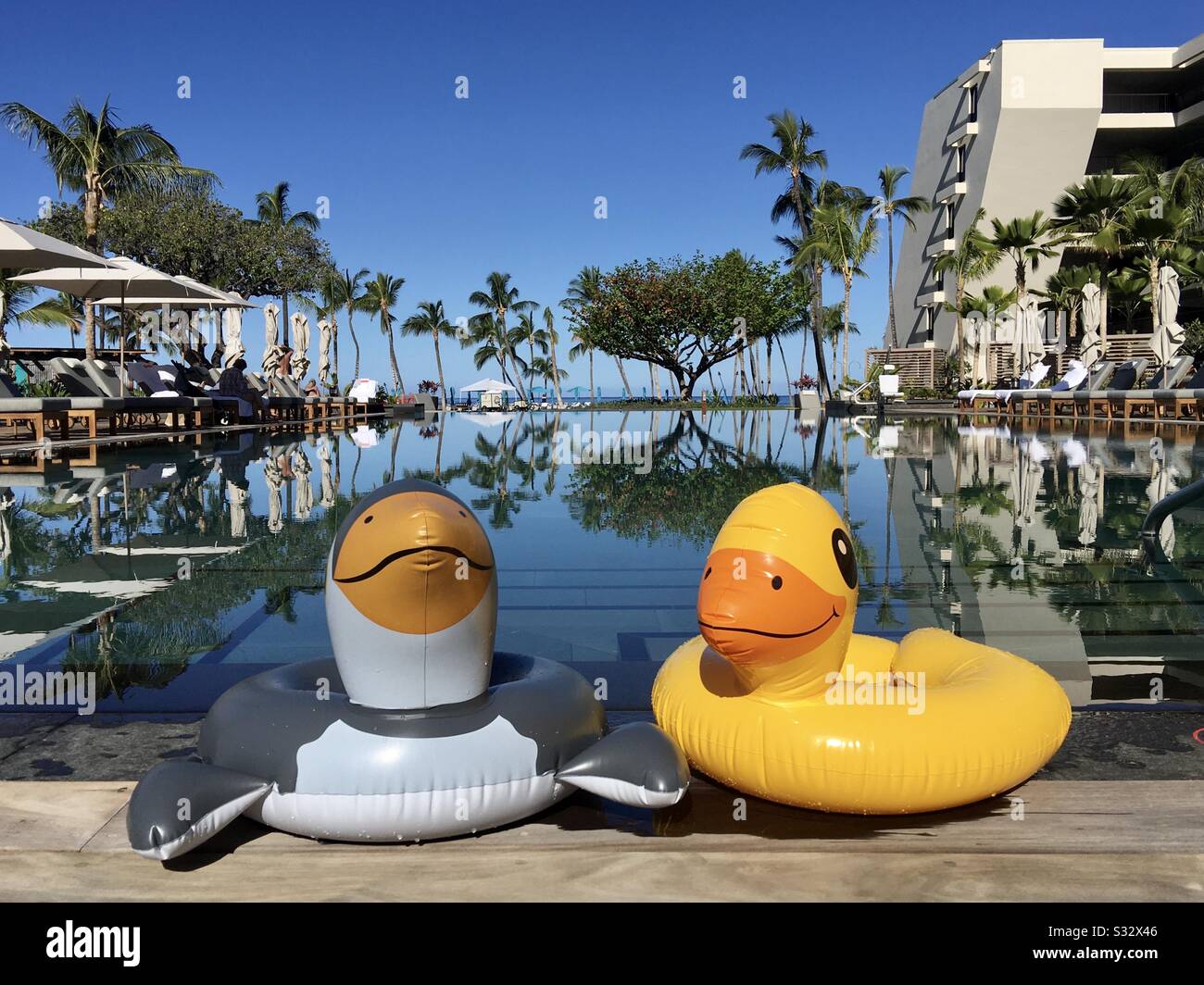 Two pool floats at Mauna Lani Resort by Auberge near Puako on the Kohala Coast of the Big Island of Hawaii - Smartphone Captured Stock Image