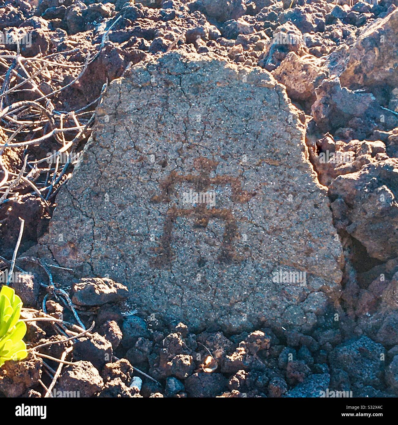 Puako Petroglyph on the property of Mauna Lani Resort, by Auberge on the Kohala Coast of the Big Island of Hawaii - Smartphone Captured Stock Image