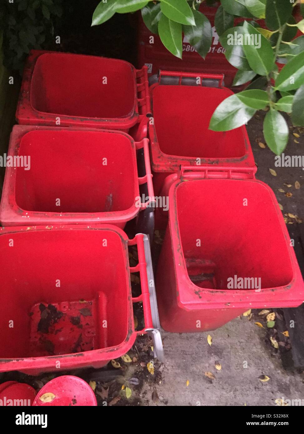 Red wheelie bins Stock Photo Alamy